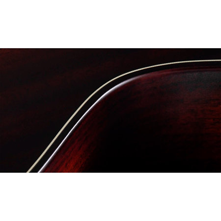 Builder's Edition 324ce + Etui Taylor