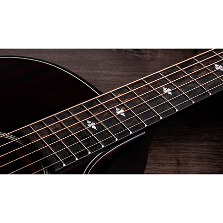 Builder's Edition 324ce + Etui Taylor