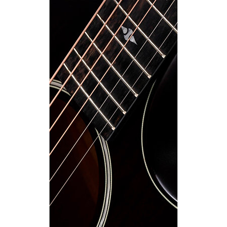 Builder's Edition 324ce + Etui Taylor