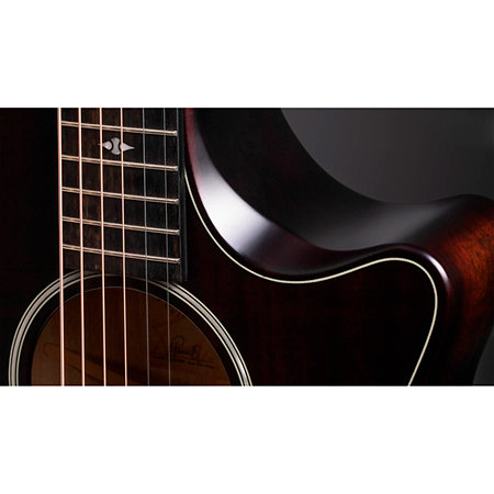 Builder's Edition 324ce + Etui Taylor