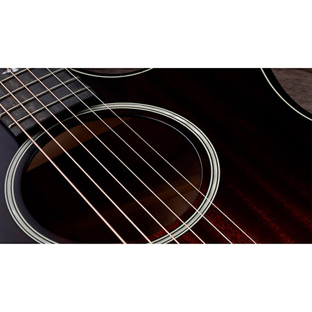 Builder's Edition 324ce + Etui Taylor