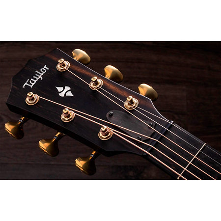 Builder's Edition 324ce + Etui Taylor