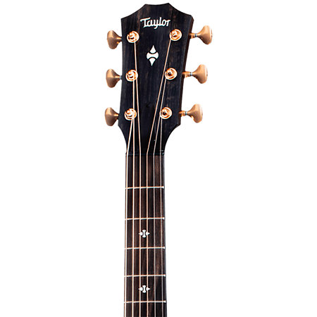 Builder's Edition 324ce + Etui Taylor