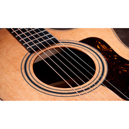314ce Studio Natural + Housse Taylor