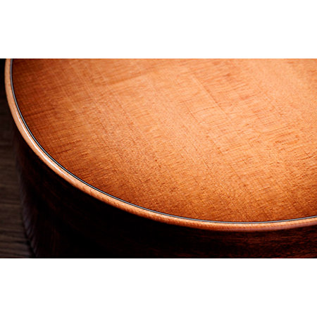 314ce Studio Shaded Edgeburst + Housse Taylor