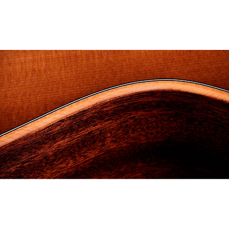314ce Studio Shaded Edgeburst + Housse Taylor