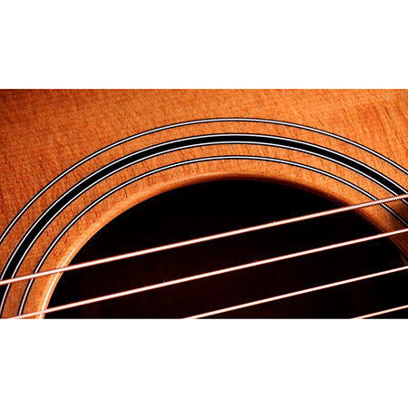 314ce Studio Shaded Edgeburst + Housse Taylor