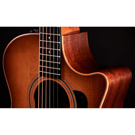 314ce Studio Shaded Edgeburst + Housse Taylor