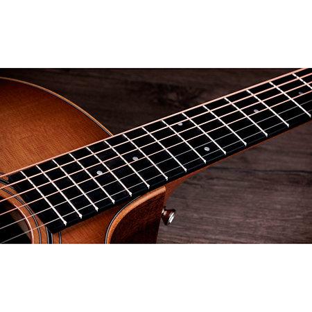 314ce Studio Shaded Edgeburst + Housse Taylor