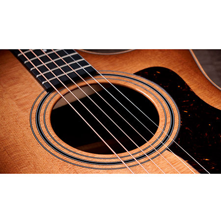 314ce Studio Shaded Edgeburst + Housse Taylor
