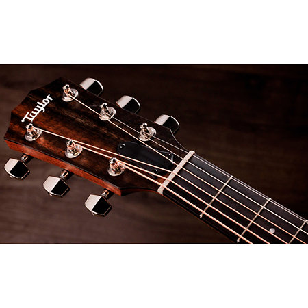 314ce Studio Shaded Edgeburst + Housse Taylor
