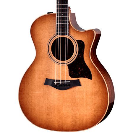 314ce Studio Shaded Edgeburst + Housse Taylor