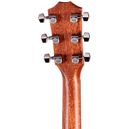 314ce Studio Shaded Edgeburst + Housse Taylor