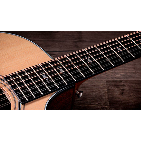 354ce + Etui Taylor