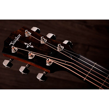 414ce Natural + Etui Taylor