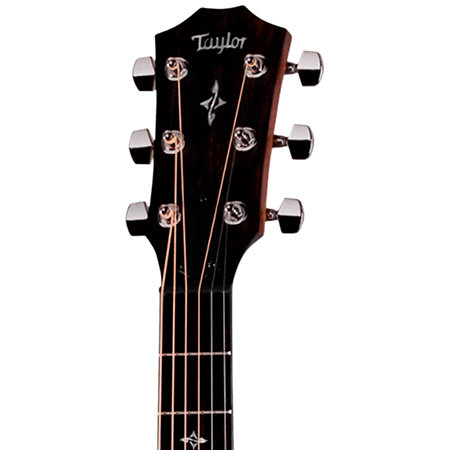 414ce Natural + Etui Taylor