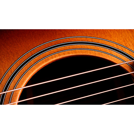 414ce Studio Shaded Edgeburst + Housse Taylor