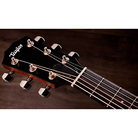 414ce Studio Shaded Edgeburst + Housse Taylor