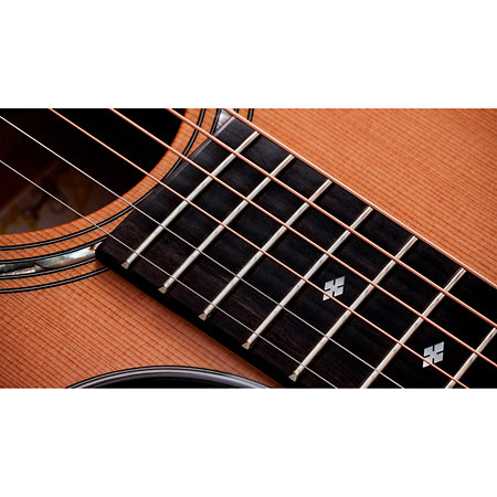 Legacy 514ce Limited Edition + Etui Taylor