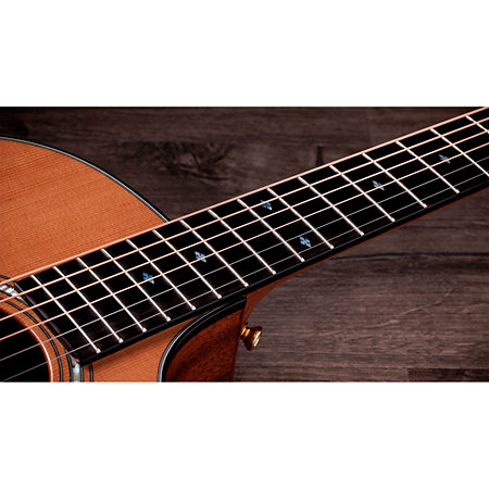 Legacy 514ce Limited Edition + Etui Taylor