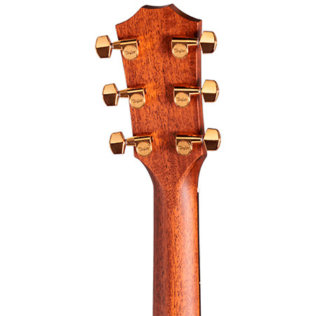 Legacy 514ce Limited Edition + Etui Taylor