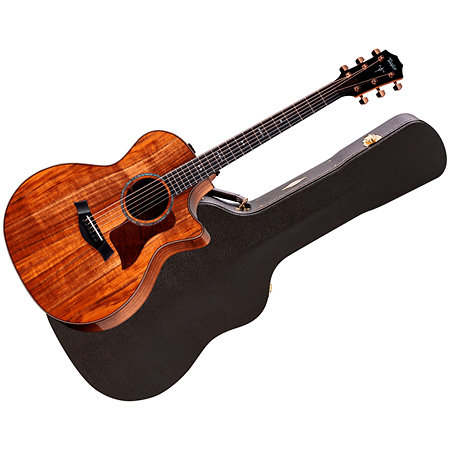 Taylor 724ce + Etui
