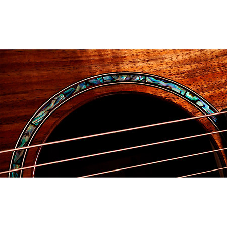 724ce + Etui Taylor