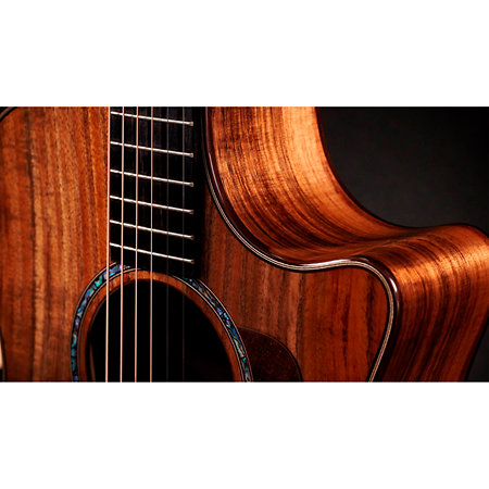 724ce + Etui Taylor