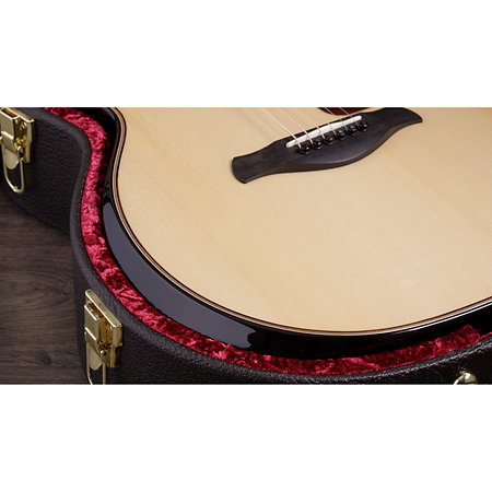 Builder's Edition 814ce + Etui Taylor