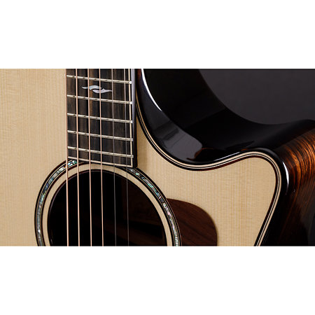 Builder's Edition 814ce + Etui Taylor