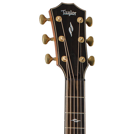 Builder's Edition 814ce + Etui Taylor