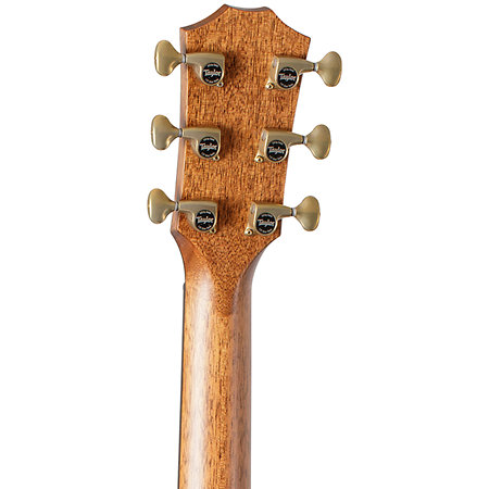 Builder's Edition 814ce + Etui Taylor