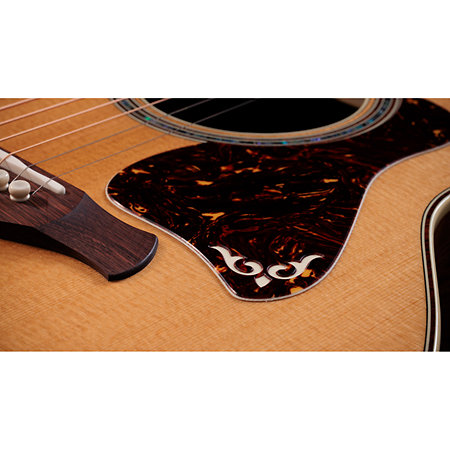 Gold Label 814e + Etui Taylor