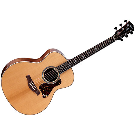 Gold Label 814e + Etui Taylor