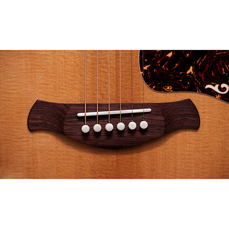 Gold Label 814e + Etui Taylor