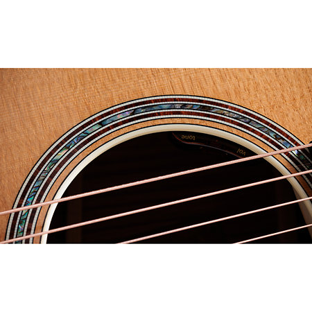 Gold Label 814e + Etui Taylor