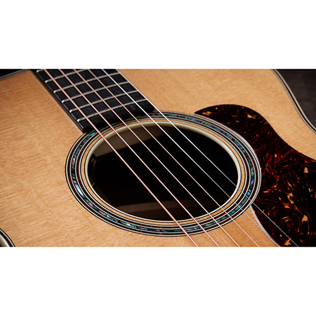 Gold Label 814e + Etui Taylor