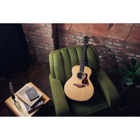 Gold Label 814e + Etui Taylor