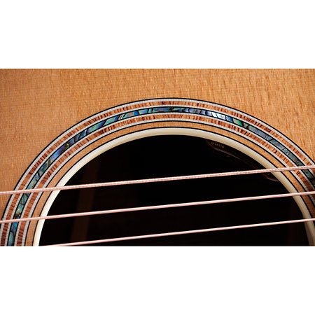 Gold Label 814e Koa + Etui Taylor