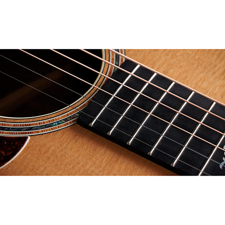 Gold Label 814e Koa + Etui Taylor