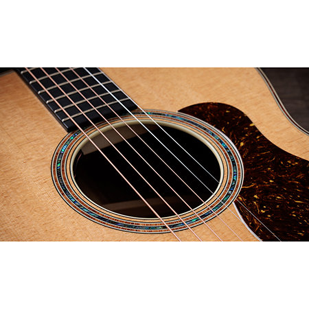 Gold Label 814e Koa + Etui Taylor
