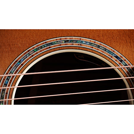 Gold Label 814e Koa Sunburst + Etui Taylor