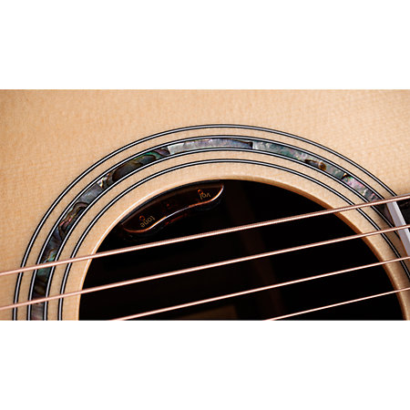 Legacy 810e Limited Edition + Etui Taylor