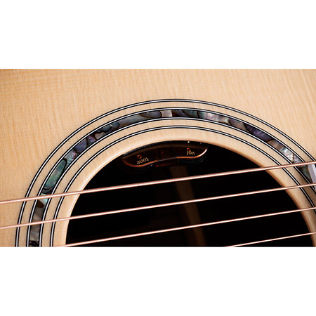 Legacy 815e Limited Edition + Etui Taylor