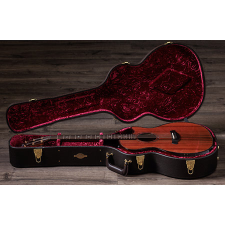 Builder's Edition 914ce + Etui Taylor