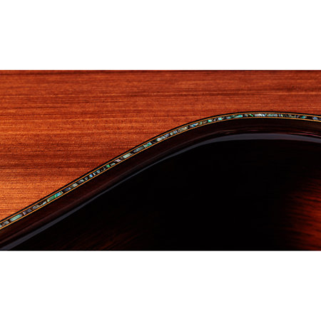 Builder's Edition 914ce + Etui Taylor