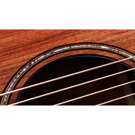 Builder's Edition 914ce + Etui Taylor