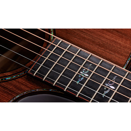 Builder's Edition 914ce + Etui Taylor