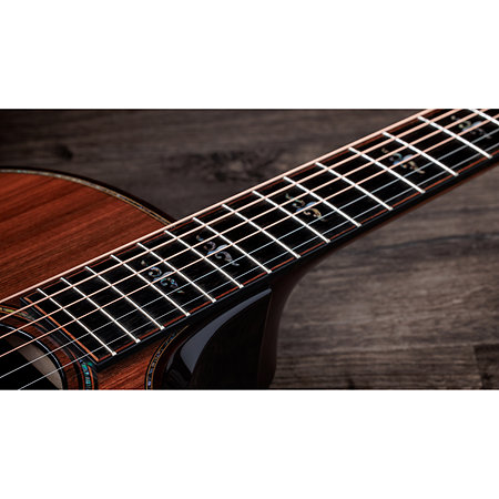 Builder's Edition 914ce + Etui Taylor