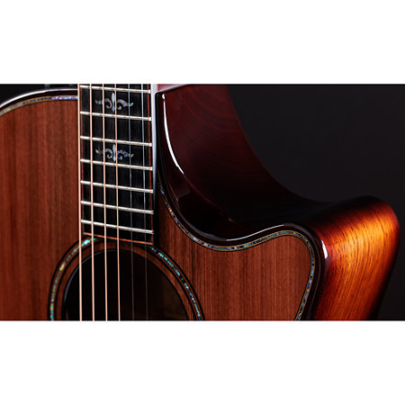 Builder's Edition 914ce + Etui Taylor